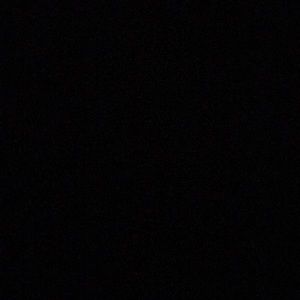 Meet your Posher, Trevion